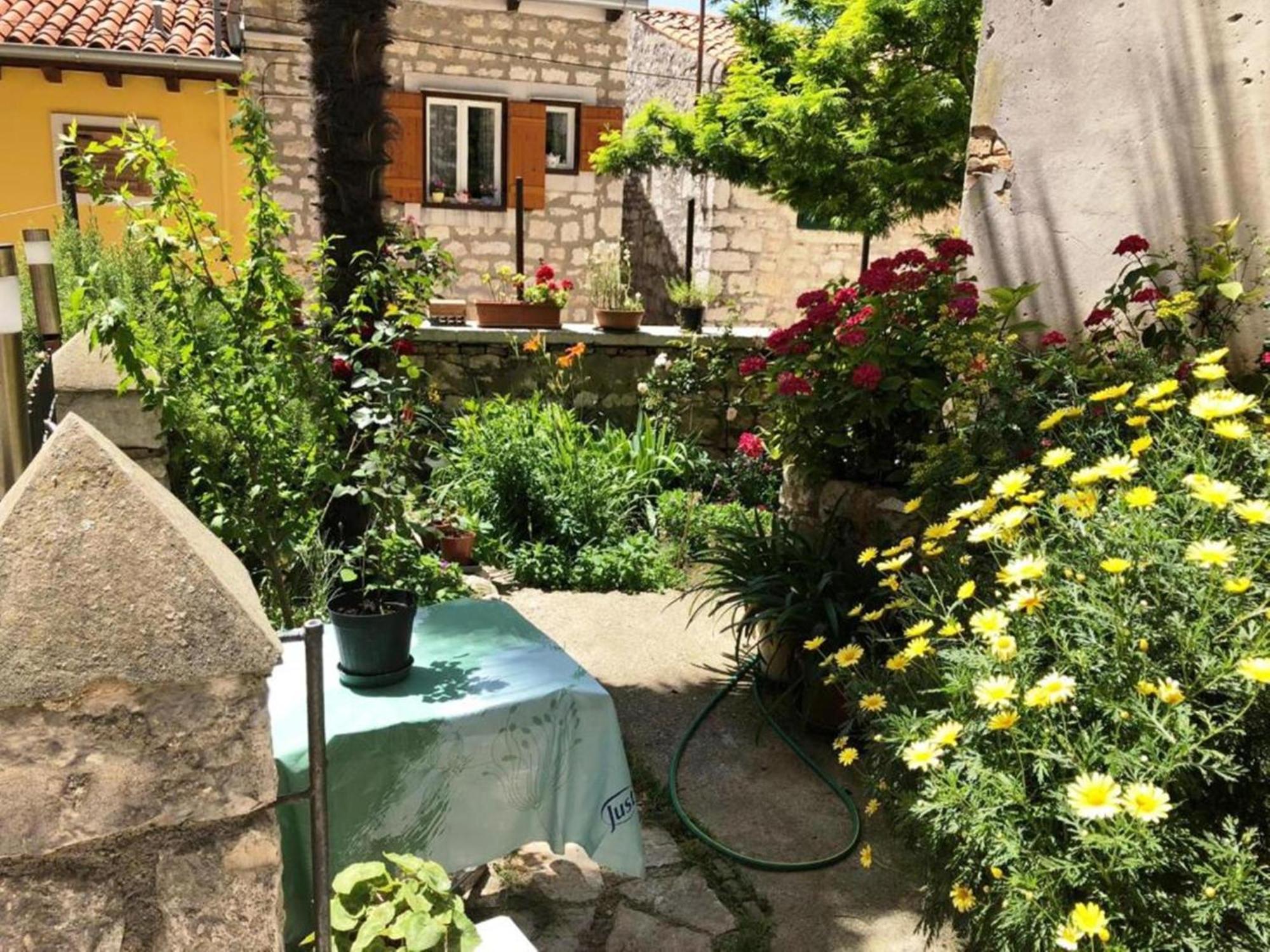 Appartamento Casa Santa Vicenta Rovigno